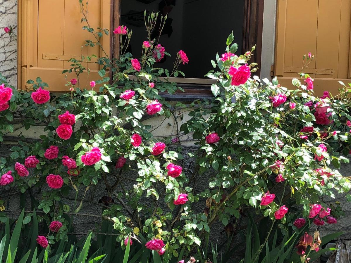 A O Soa B&B Savignone Kültér fotó
