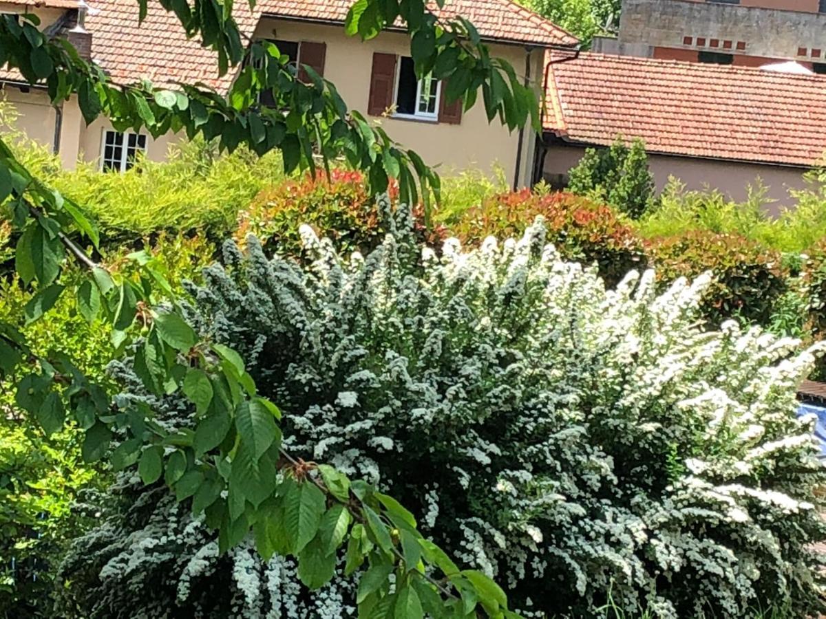 A O Soa B&B Savignone Kültér fotó
